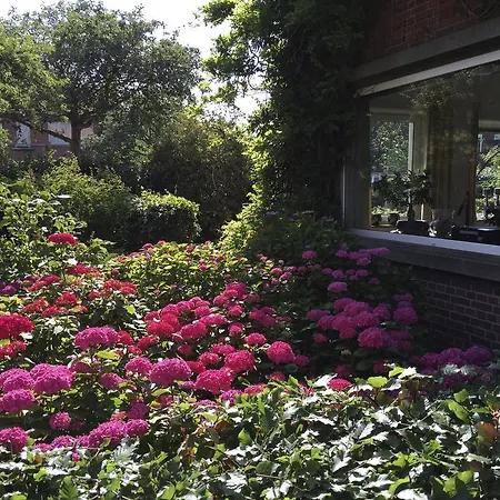 Beach Forest City Family House Accommodatie bij particulieren Den Haag